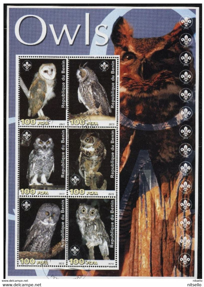 HB FAUNA   ///  (C031)  FAUNA  -  AVES - Owls