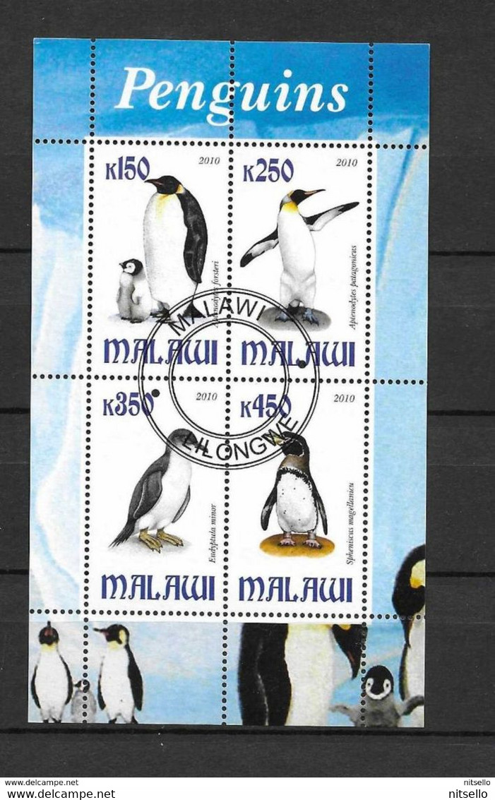 HB FAUNA  ////  (C031)  FAUNA - PINGUINOS - Pingouins & Manchots