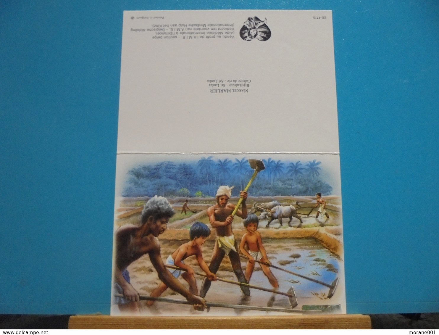Carte  Postale Illustrée Par M.Marlier ( Martine )  Pour Le Skri Lanka - Martine