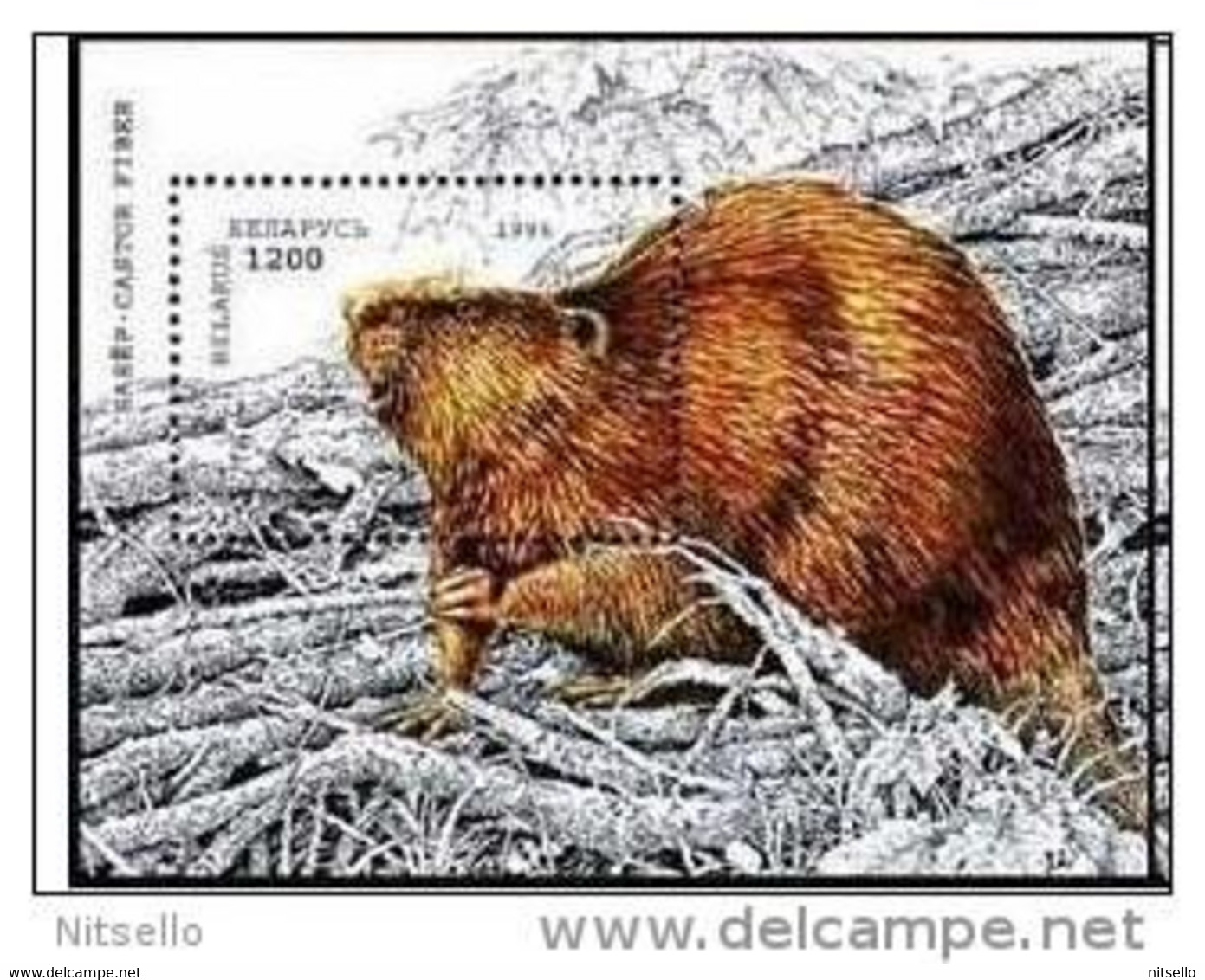 LOTE 1237   ///  BIELORRUSIA  CASTOR ** MNH    ¡¡¡LIQUIDATION!!! - Roditori