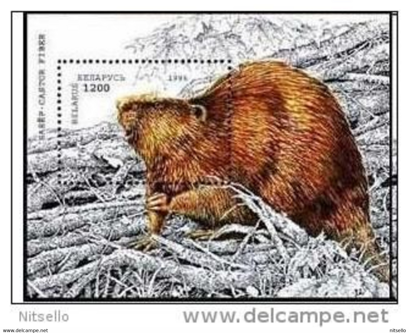LOTE 1237   ///  BIELORRUSIA  CASTOR ** MNH    ¡¡¡LIQUIDATION!!! - Rodents