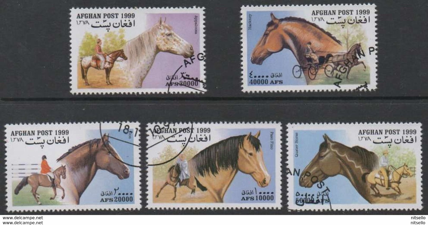 LOTE 1238  ///  (C042) Afghanistan 1999  CABALLOS - Chevaux