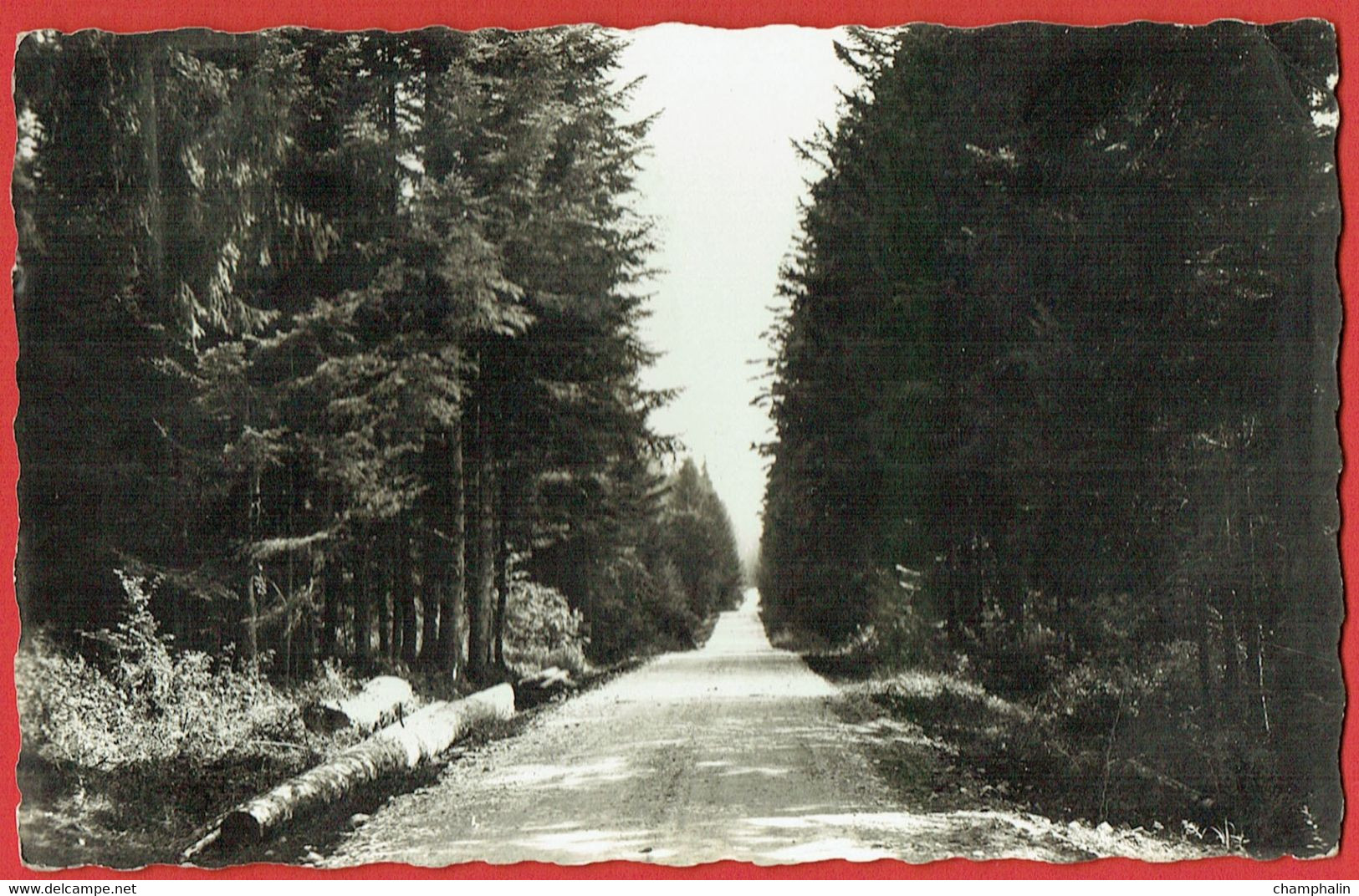 La Franche-Comté Pittoresque - Chemin En Forêt - CAD Champagnole (39) - Franche-Comté