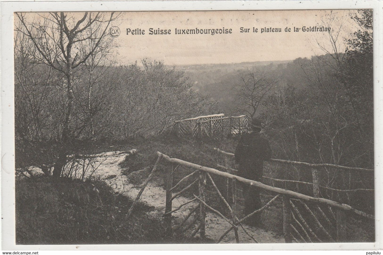 LUXEMBOURG 27 : Sur Le Plateau De La Goldfralay Petite Suisse Luxembourgeoise : édit. P C Schoren - Muellerthal