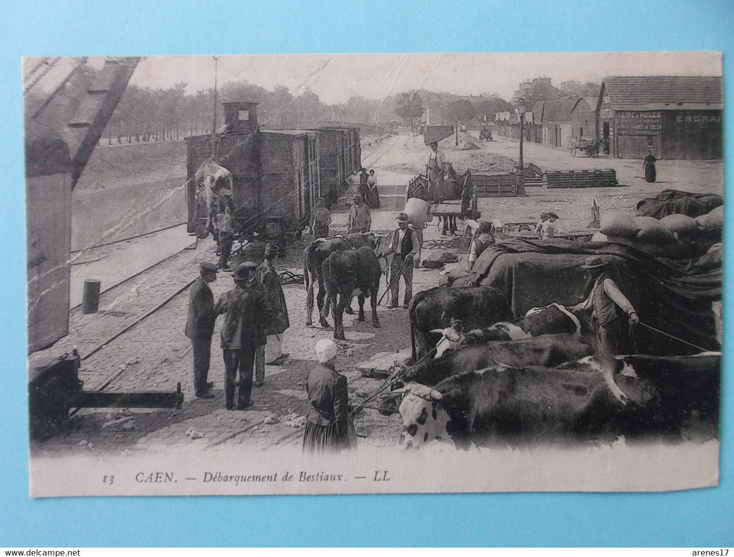 14 : CAEN : DEBARQUEMENT Des BESTIAUX  , Animé ,carte En Bon état - Fairs