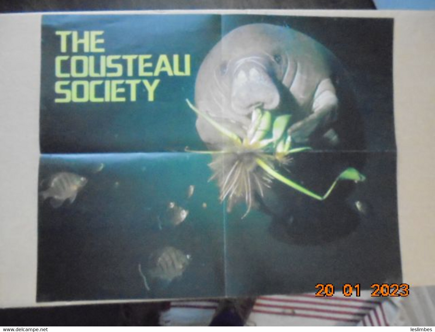 Cousteau Society Bulletin Et Affiche En Anglais : Calypso Log, Volume 3, Number 1 (January - February 1976) - Nature