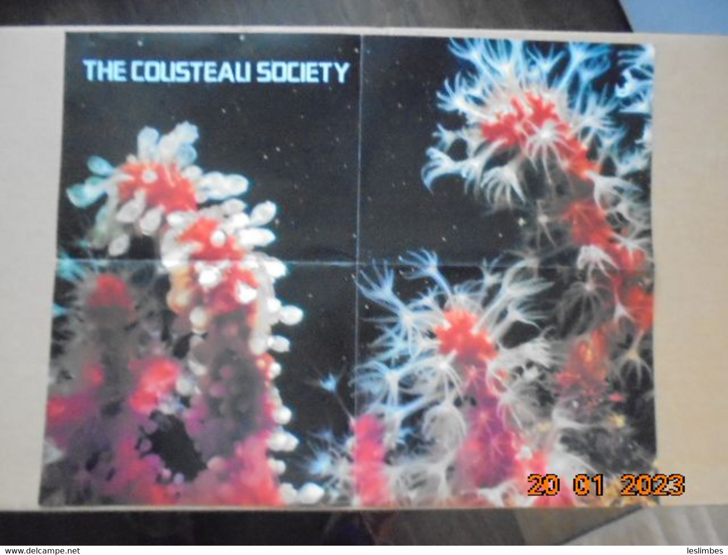 Cousteau Society Bulletin Et Affiche En Anglais : Calypso Log, Volume 3, Number 3 (May - June 1976) - Natuur