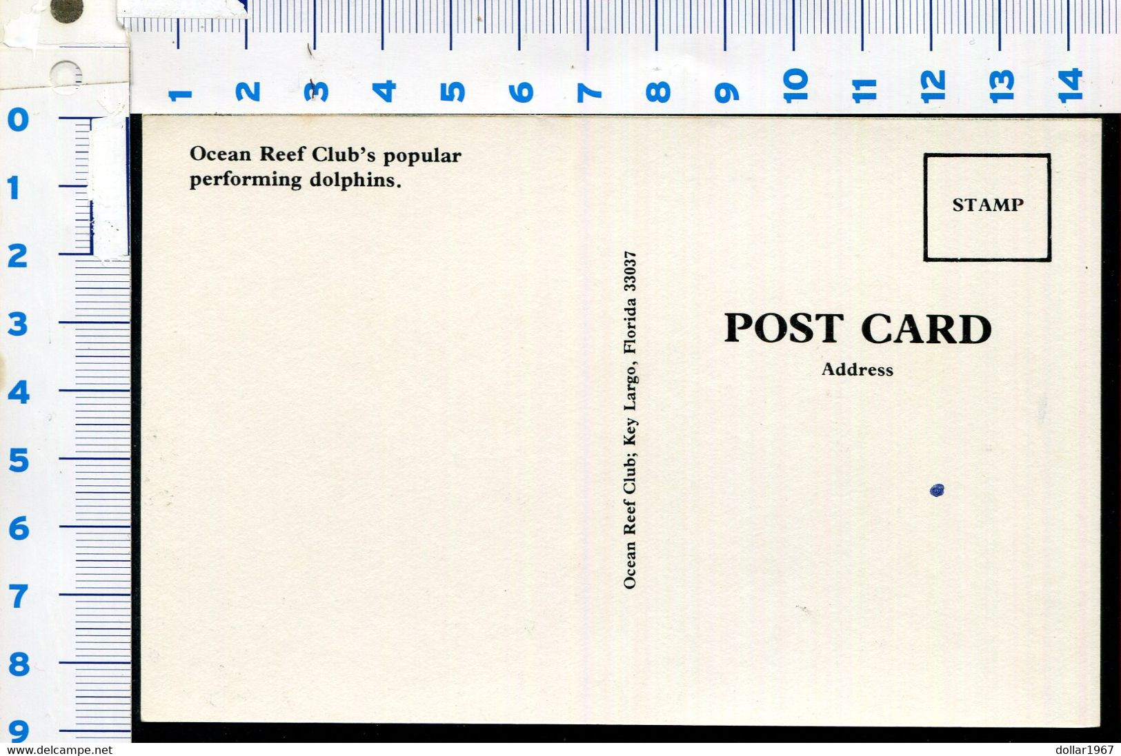 Key Largo, Florida , Ocean Reef Club Popular Performing Dolphins. - Not  USED  - 2 Scans For Condition.(Originalscan !!) - Key West & The Keys