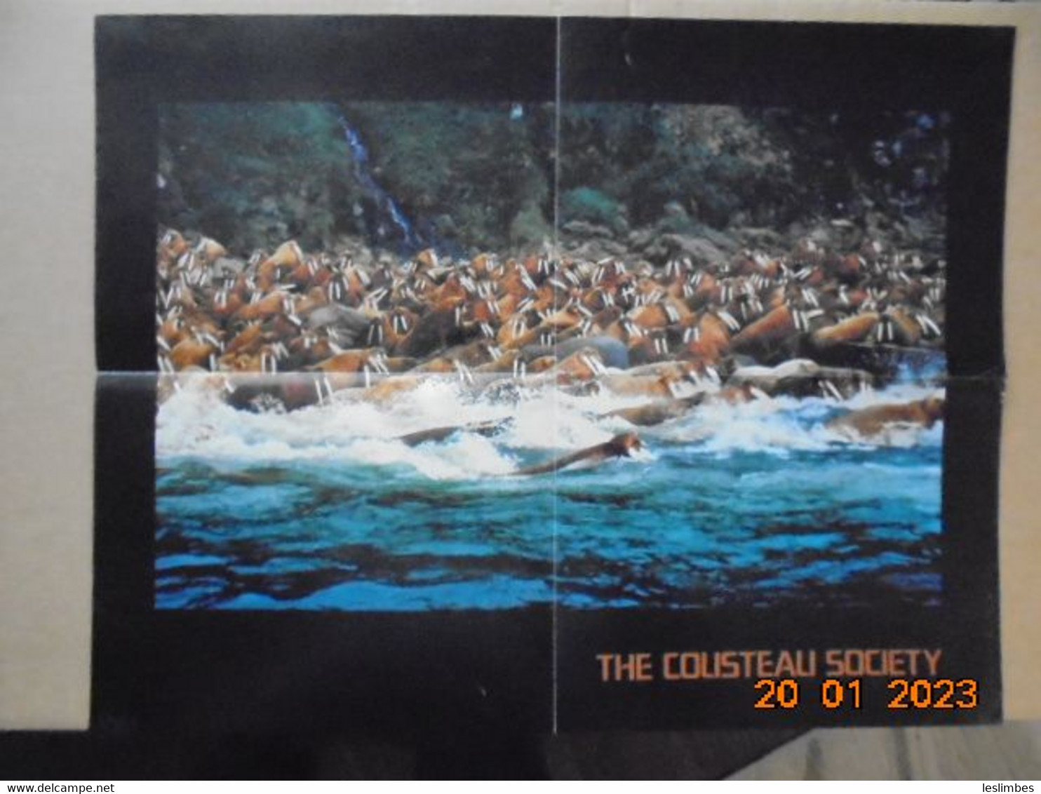 Cousteau Society Bulletin Et Affiche En Anglais : Calypso Log, Volume 3, Number 6 (November - December 1976) - Im Freien
