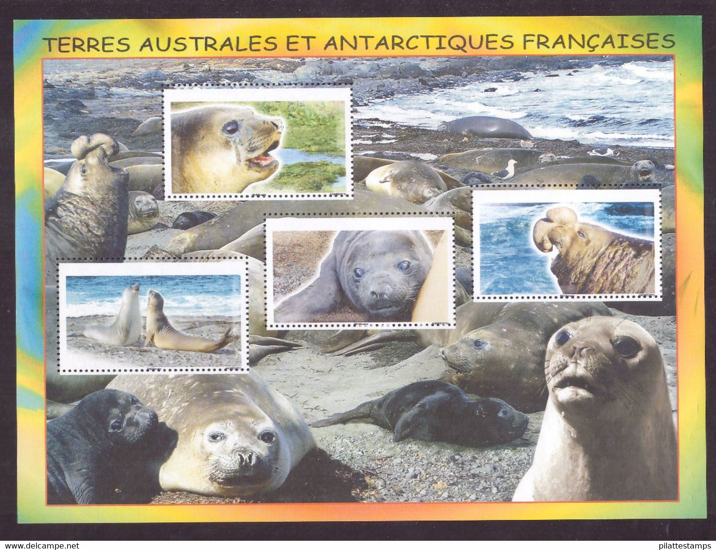 TERRES AUSTRALES BLOC N° 19** VARIETE SANS LA GRAVURE NOIRE SIGNE BRUN - Blocs-feuillets