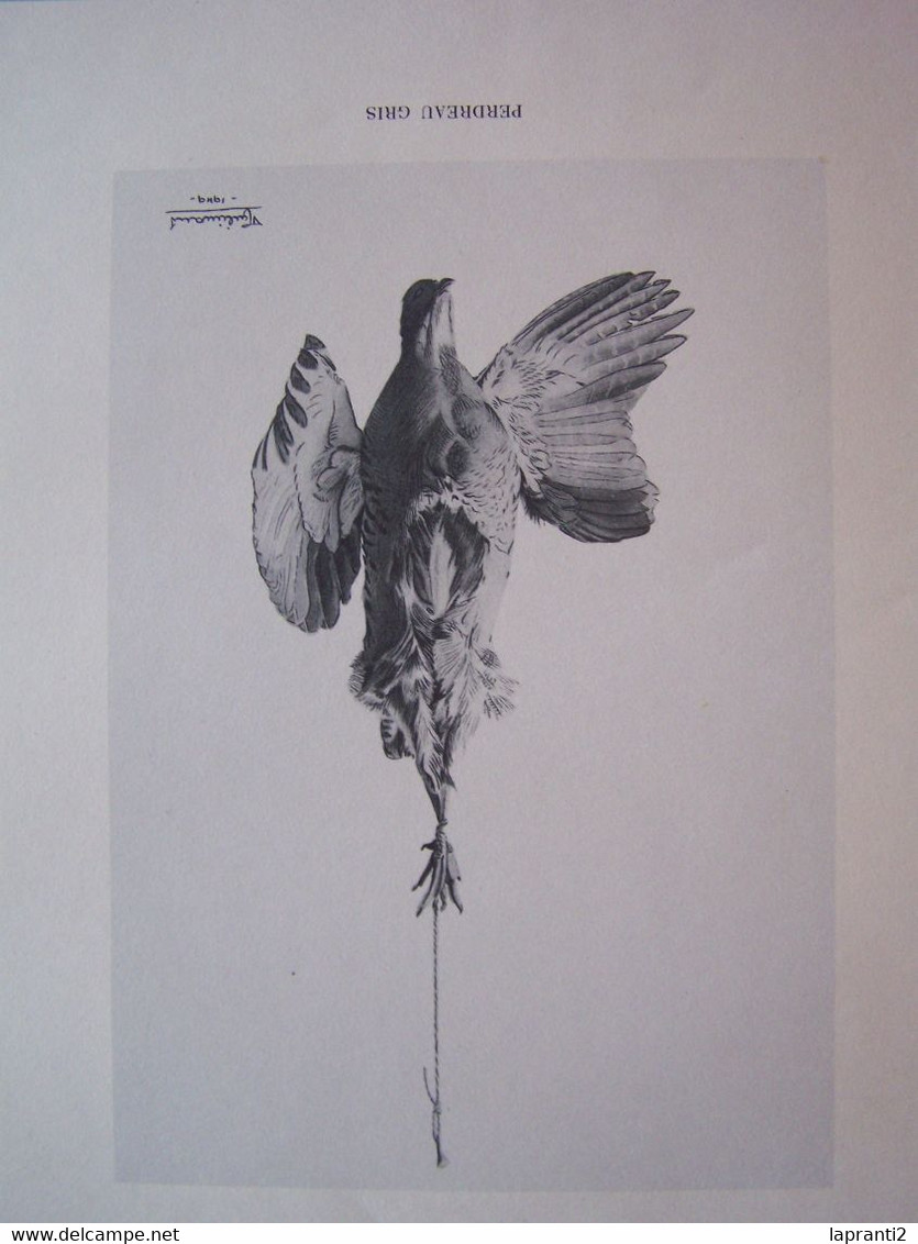 LA CHASSE. "PLUMES DANS LE VENT".  PAUL VIALAR.  ILLUSTRATIONS DE HENRI DE LINARES. - Chasse/Pêche