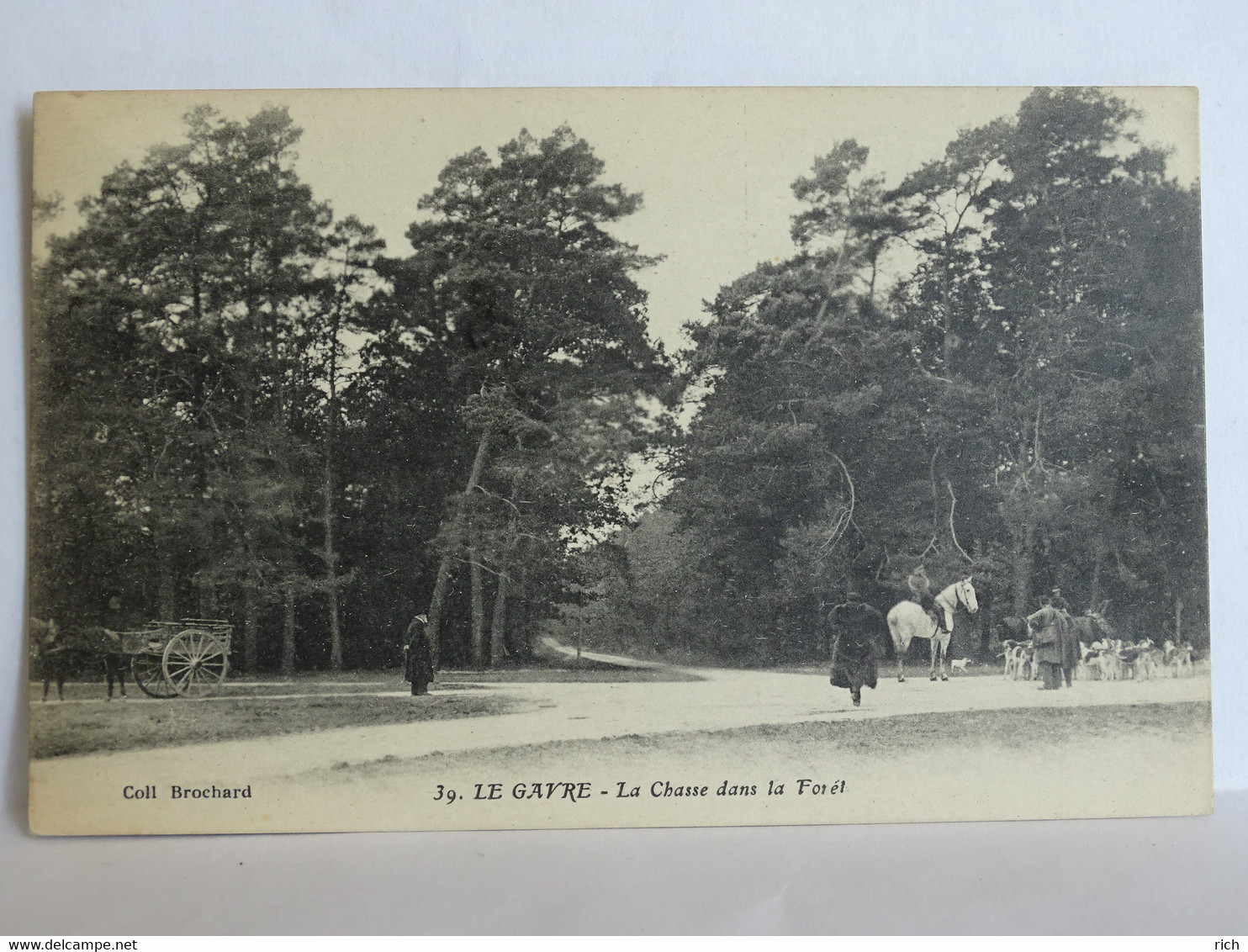 CPA 44 Loire Atlantique - LE GAVRE - La Chasse Dans La Forêt - Chasse à Courre - Le Gavre