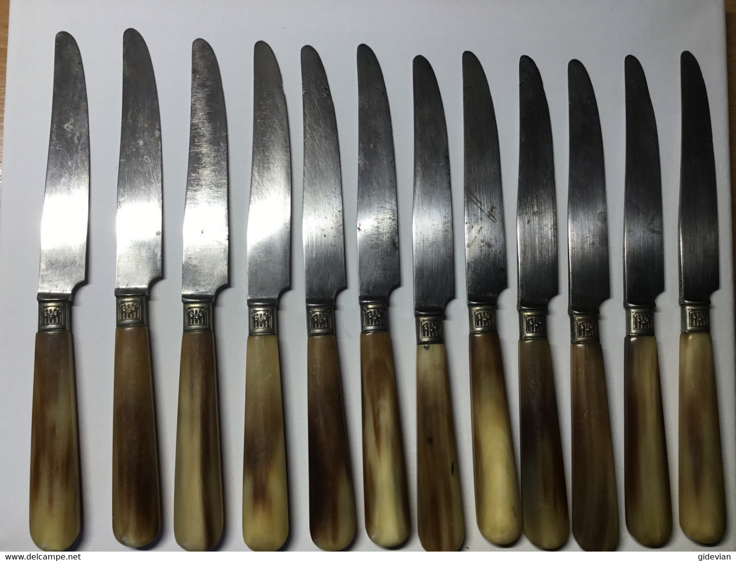 12 Couteaux, Manche Celluloïd, Période Art Déco, Poinçon »Aux 2 Lions, Acier Forgé « - Knives