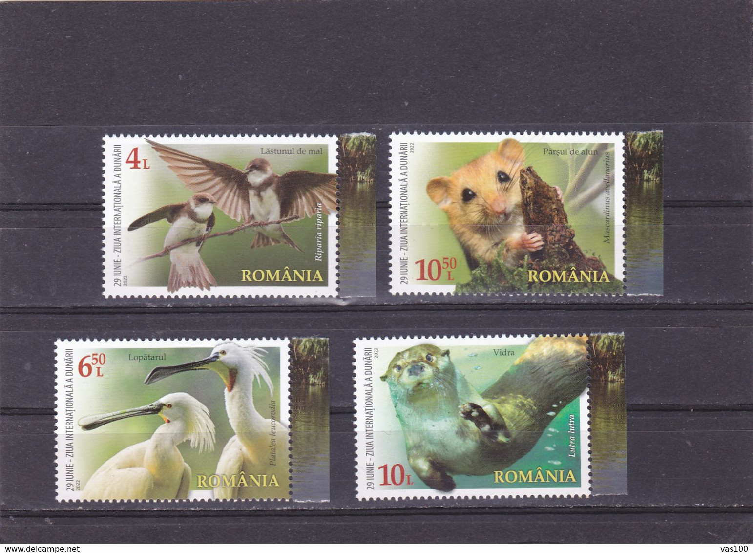 ROMANIA 2022 FAUNA Animals - Fine Set MNH - Nuevos