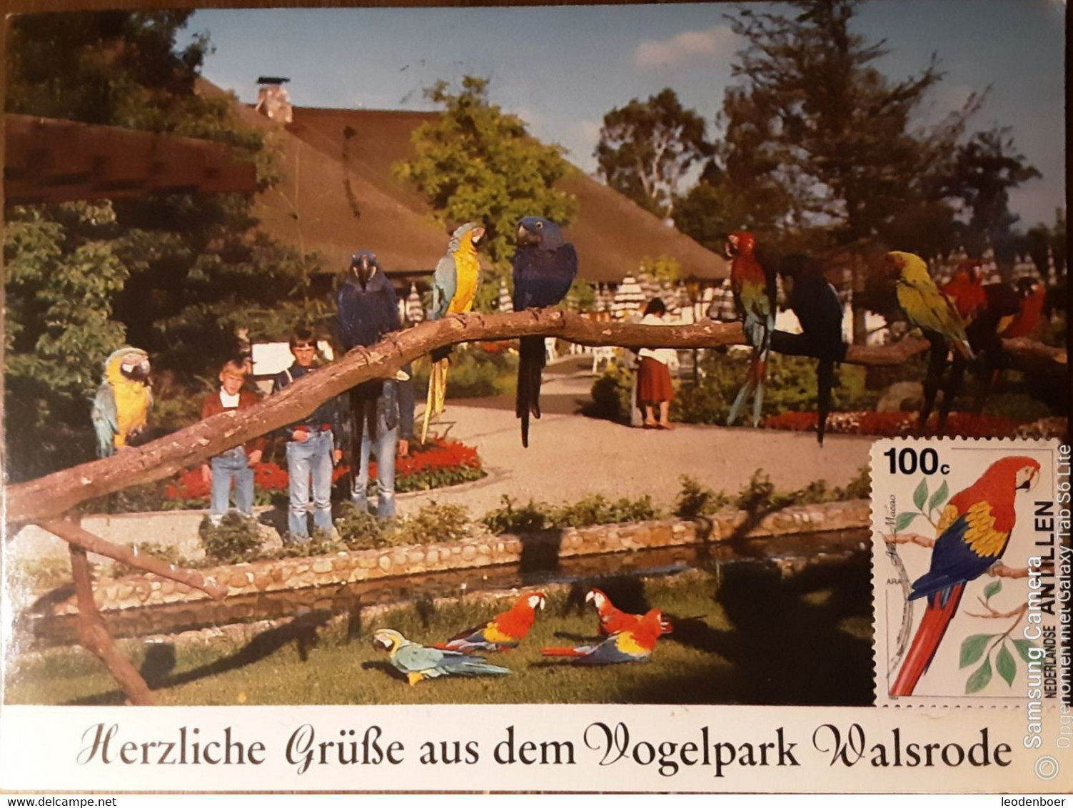 Walsrode - Vogelpark - Ara-Freianlage - Met Bijpassende Postzegel - Walsrode