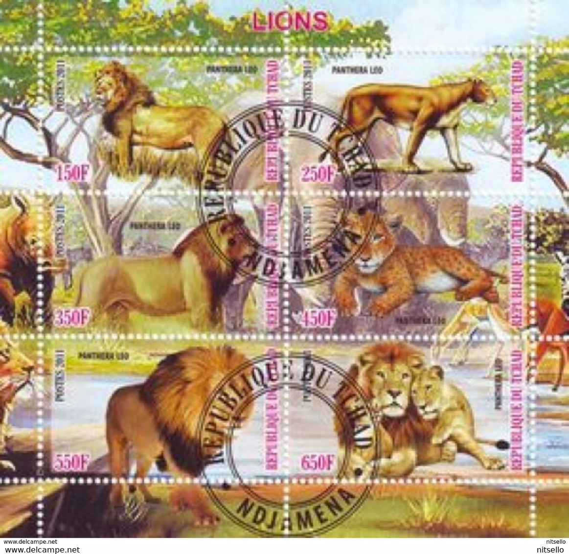 LOTE 1238  ///  (C055)  FAUNA - LEONES  ¡¡¡¡¡¡¡¡¡ LIQUIDATION !!!!!!!!!!! - Felinos