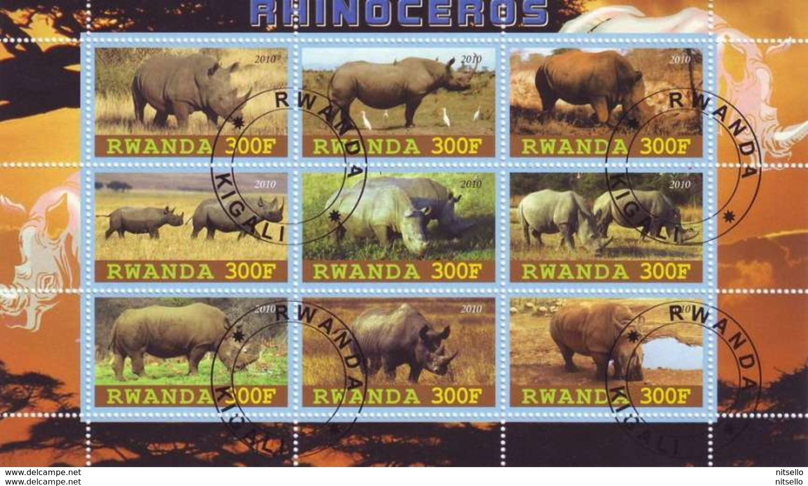 HB FAUNA  ///  (C105)  FAUNA - RINOCERONTES  ¡¡¡¡¡¡¡¡¡ LIQUIDATION !!!!!!!!!!! - Neushoorn