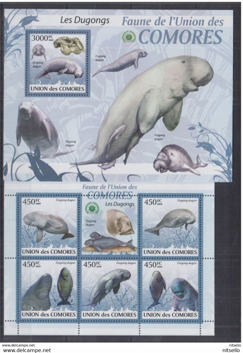 HB FAUNA   ///    (C220) FAUNA  HB COMORES DUGONGS **MNH      ¡¡¡¡¡¡LIQUIDATION!!!!!!! - Other & Unclassified