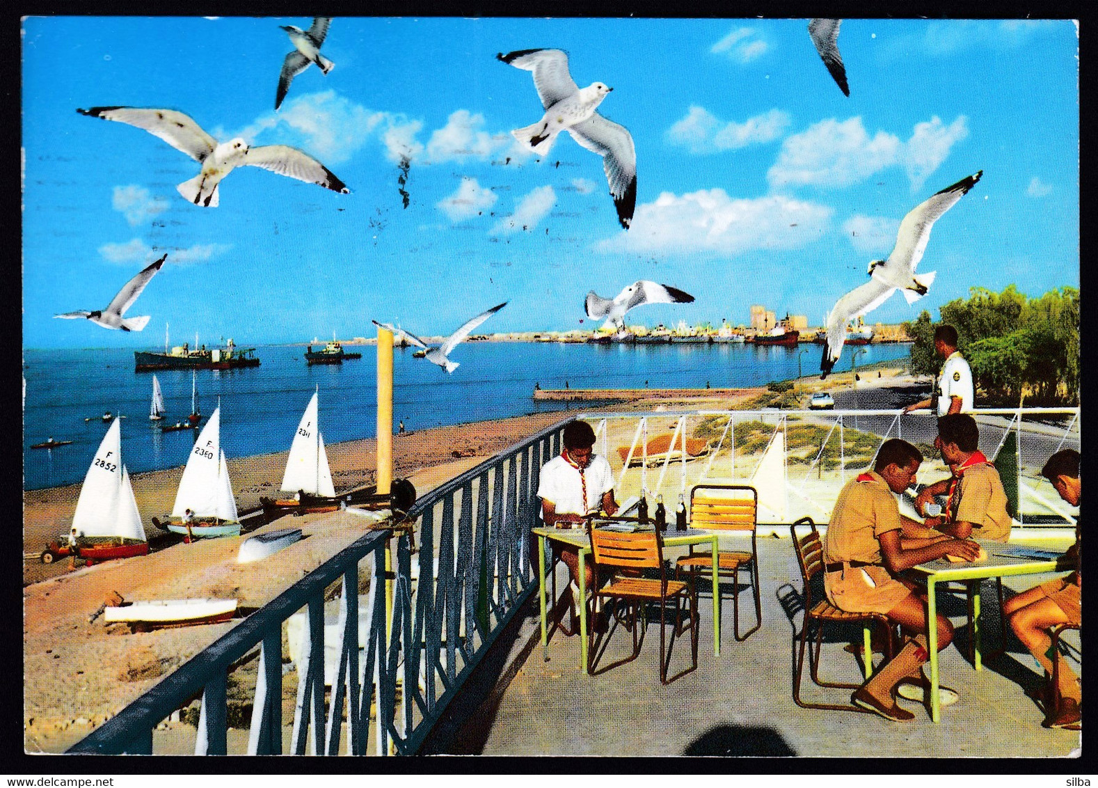 Kuwait 1977 / The Yachting Club, Sailing Boats, Seaguls, Restaurant - Koeweit