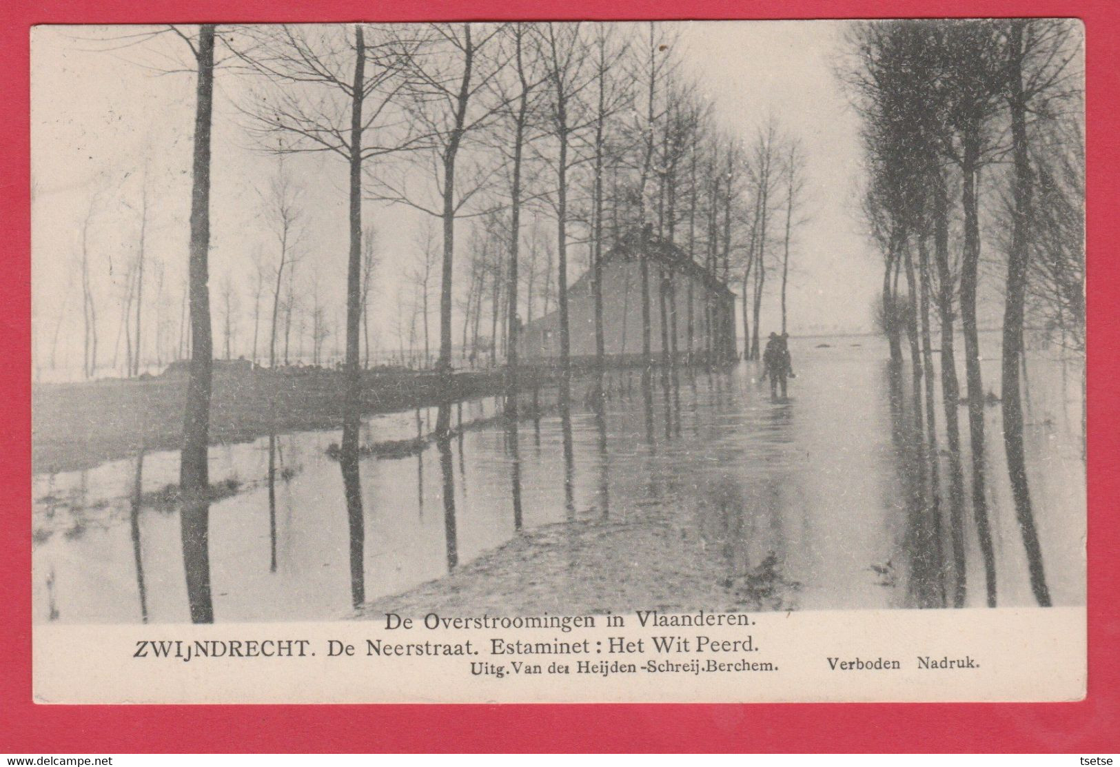 Zwijndrecht - De Overstroomingen In Vlaanderen - De Neerstraat . Estaminet : Het Wit Peerd -1906 ( Verso Zien ) - Zwijndrecht