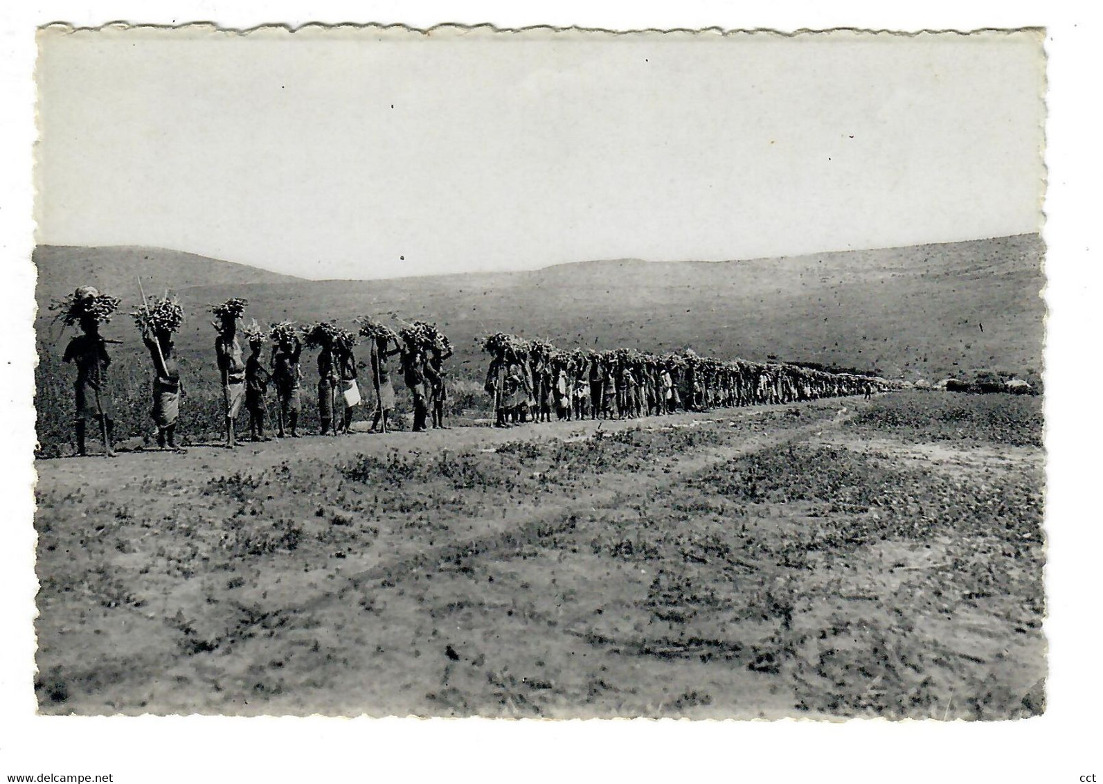 Ruanda-Urundi   Campagne Pour Le Manioc En 1931   Manioc Campaign In 1931  Manioc Markt In 1931 - Ruanda-Burundi