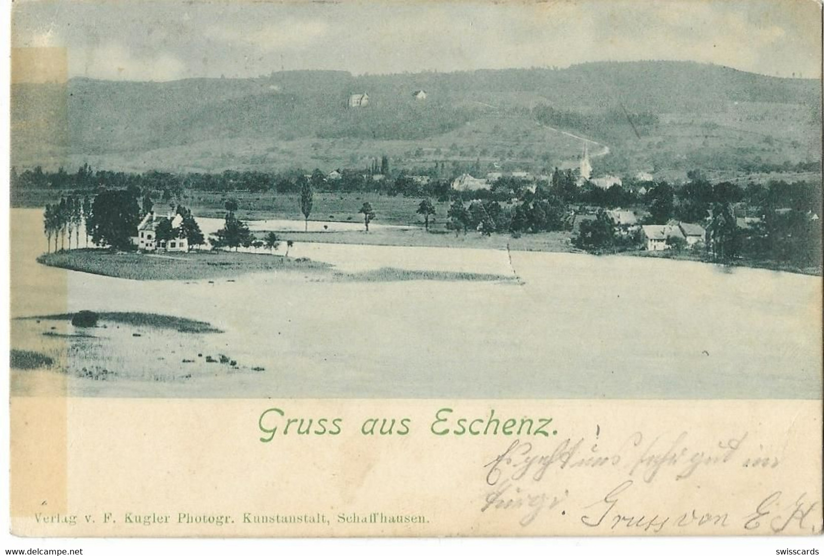 Gruss Aus ESCHENZ: Partie Am Bodensee 1907 - Eschenz