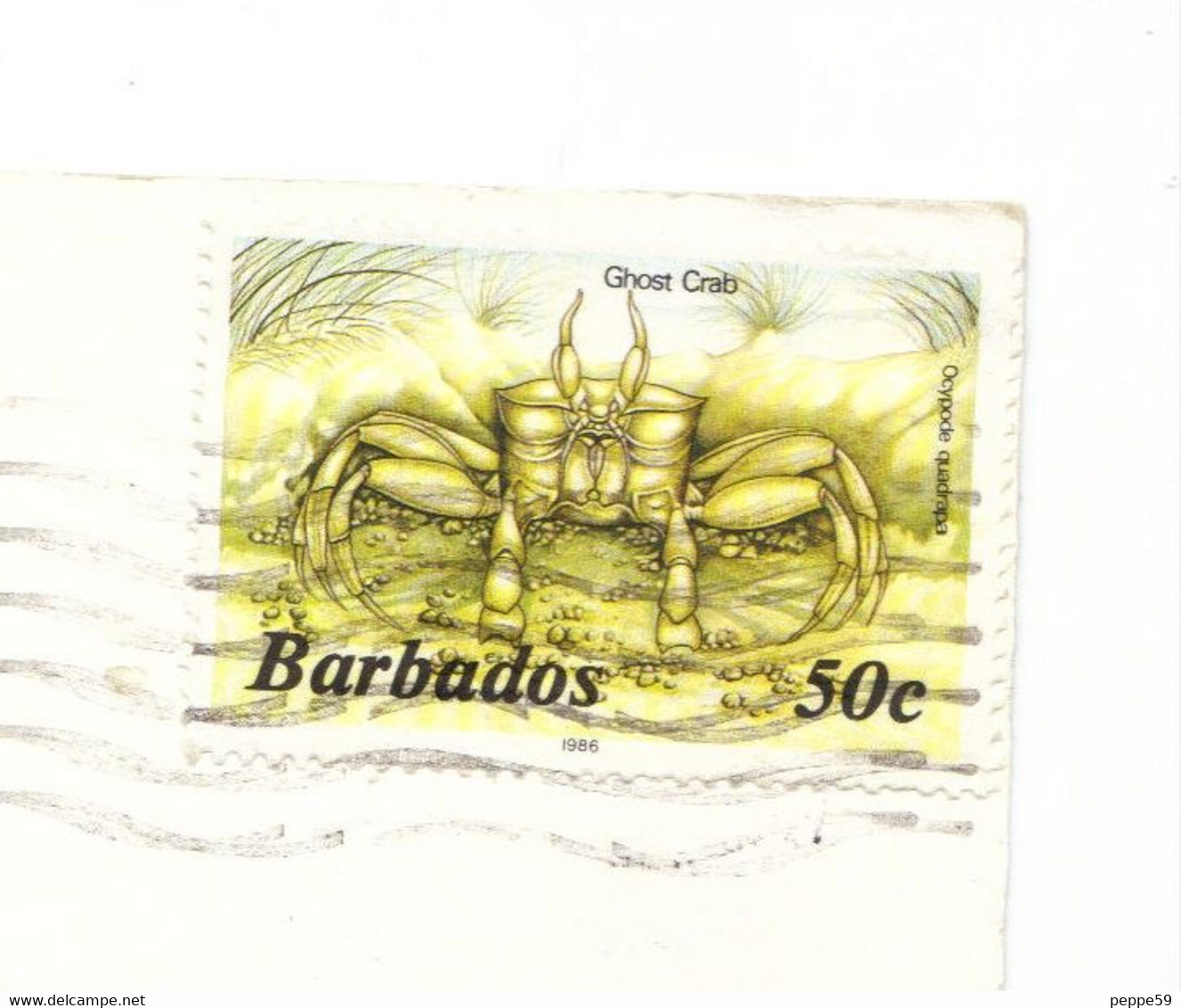 Cartolina Postale - Antigua E Barbuda - Caribbean - Viaggiata - Antigua Und Barbuda