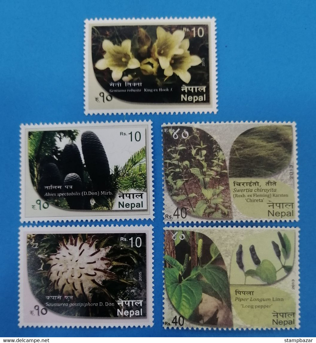 Nepal 2013 Nature Plants Cactus Orchids Flora Flower  Stamps 5v MNH - Népal