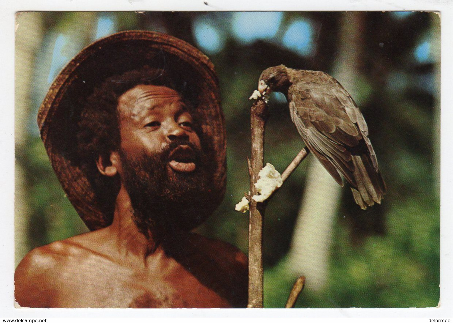 CPSM Iles Seychelles Curiosité Personnage Titi And His Black Parrot Perroquet Noir Praslin éditeur Photo Eden à Mahé - Seychelles