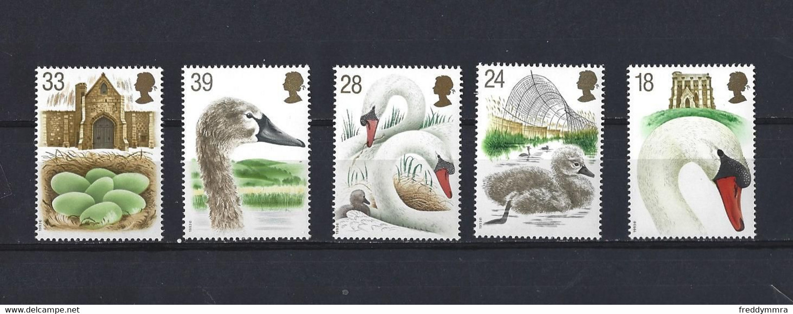 Grande-Bretagne: 1645/ 1649 ** - Cisnes