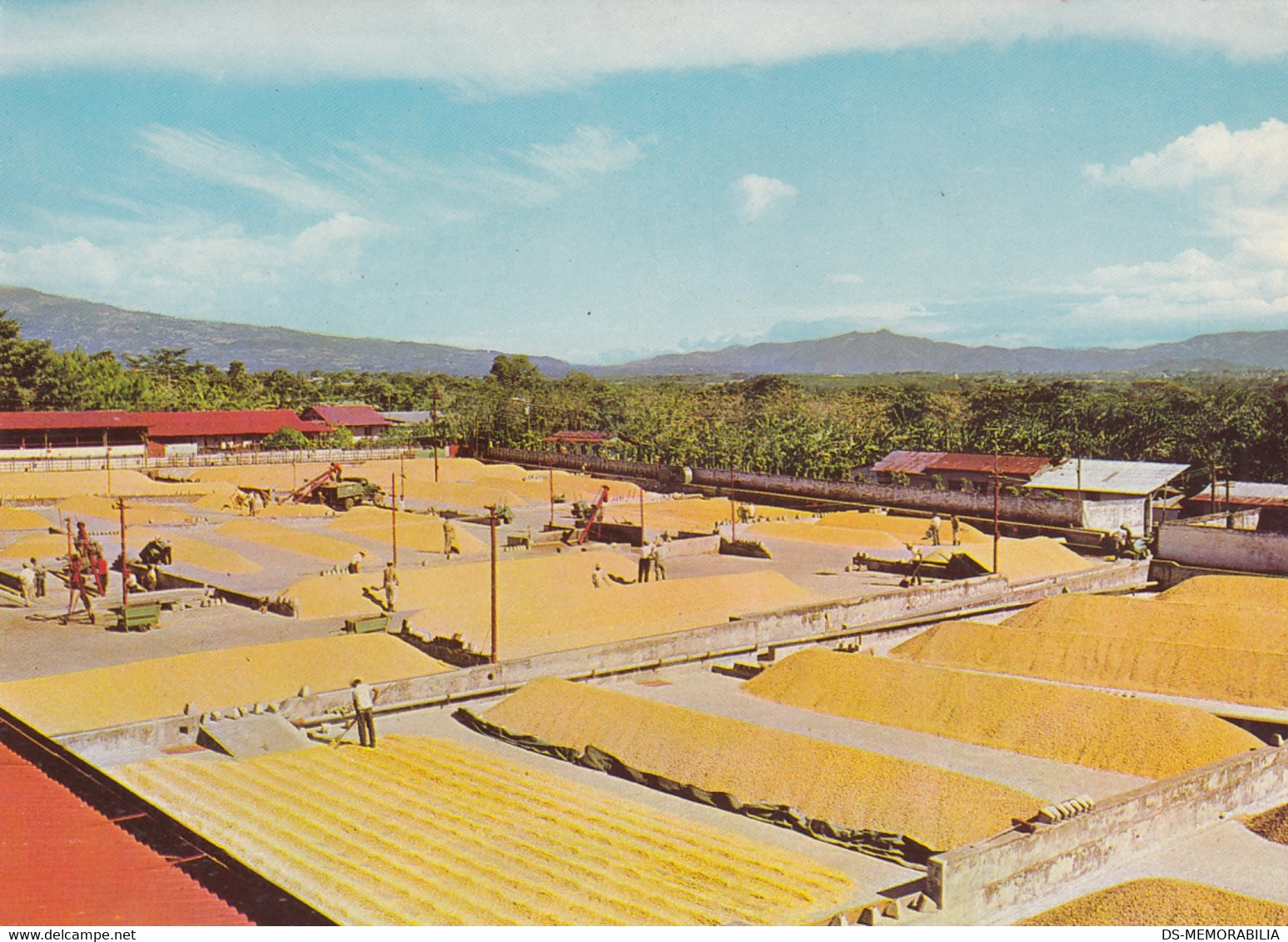 Costa Rica - Coffee Processing Plant - Costa Rica