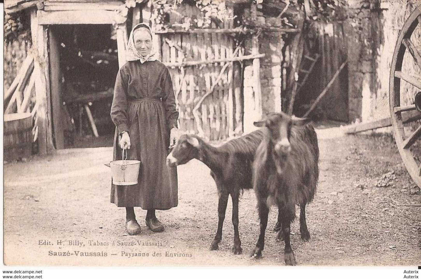 79 Sauze-Vaussais - Paysanne Des Environs Chevres Goat - Sauze Vaussais