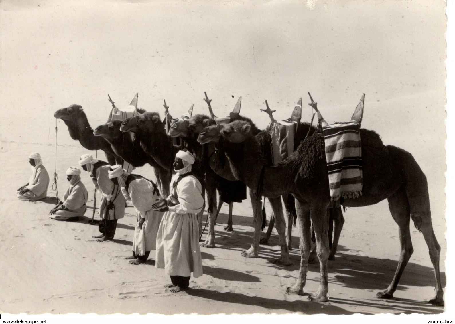 COLLECTION SAHARIENNE MEHARISTES EN PRIERE AU LEVER DU JOUR - Sahara Occidentale