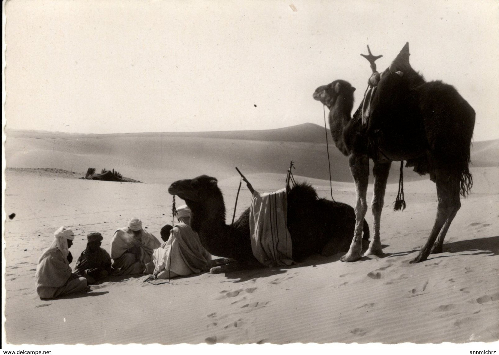 COLLECTION SAHARIENNE HALTE EN VUE DU CAMPEMENT - Westelijke Sahara