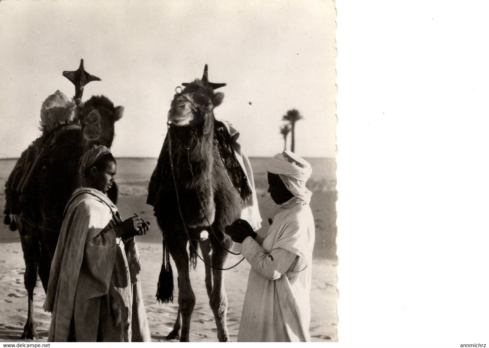 COLLECTION SAHARIENNE FUMONS UNE CIGARETTE - Westsahara