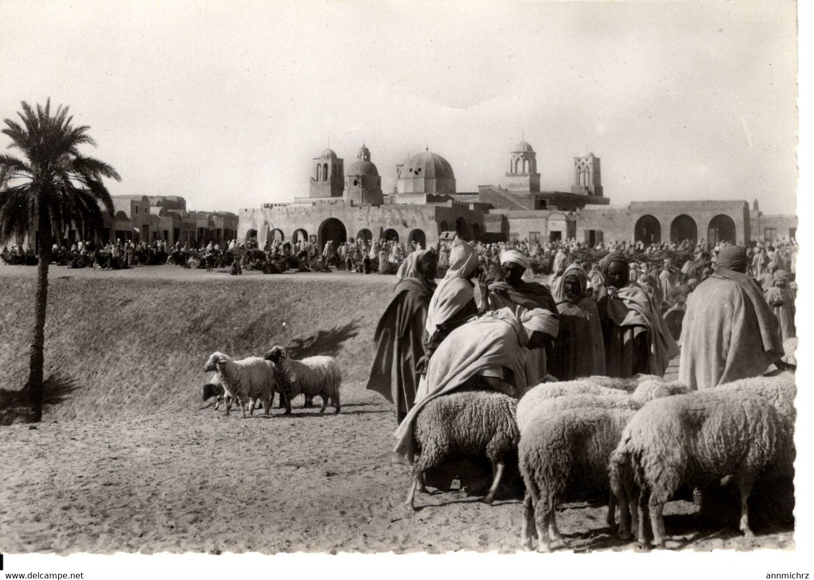 COLLECTION SAHARIENNE MARCHE DANS LE SUD - Sahara Occidental