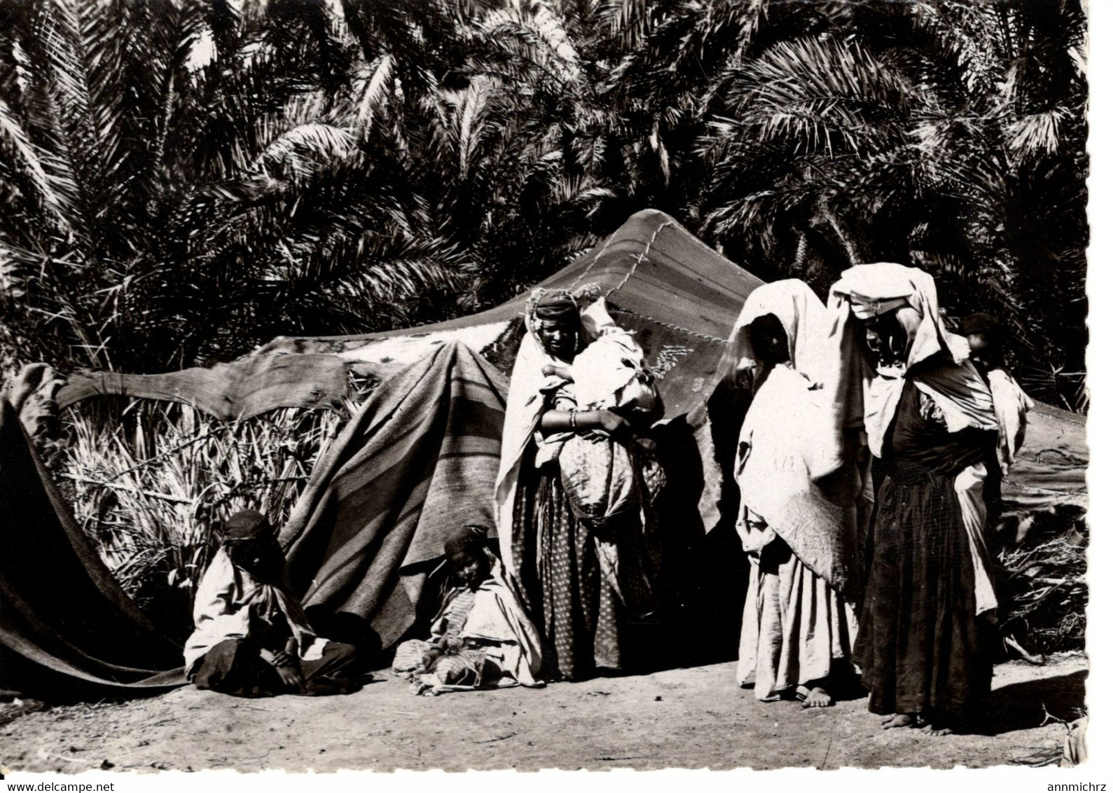 COLLECTION SAHARIENNE FAMILLE NOMADE DANS L'OASIS - Sahara Occidentale