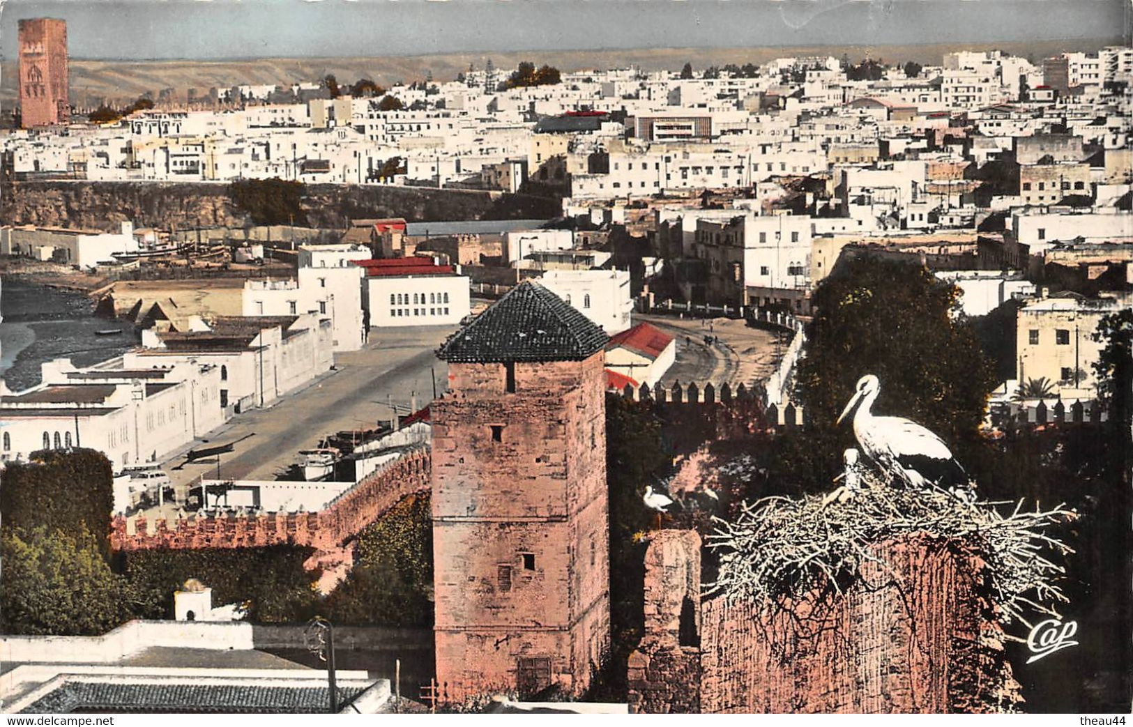 ¤¤  -   MAROC   -  Lot De 6 Cartes   -   Rabat, Scènes Et Types, Casablanca, Marrakech, Ifrane ..........  -  ¤¤ - Other & Unclassified