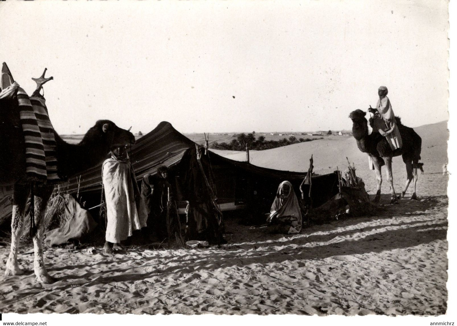 COLLECTION SAHARIENNE DEVANT LA HAIMOH OU TENTE NOMADE - Westelijke Sahara