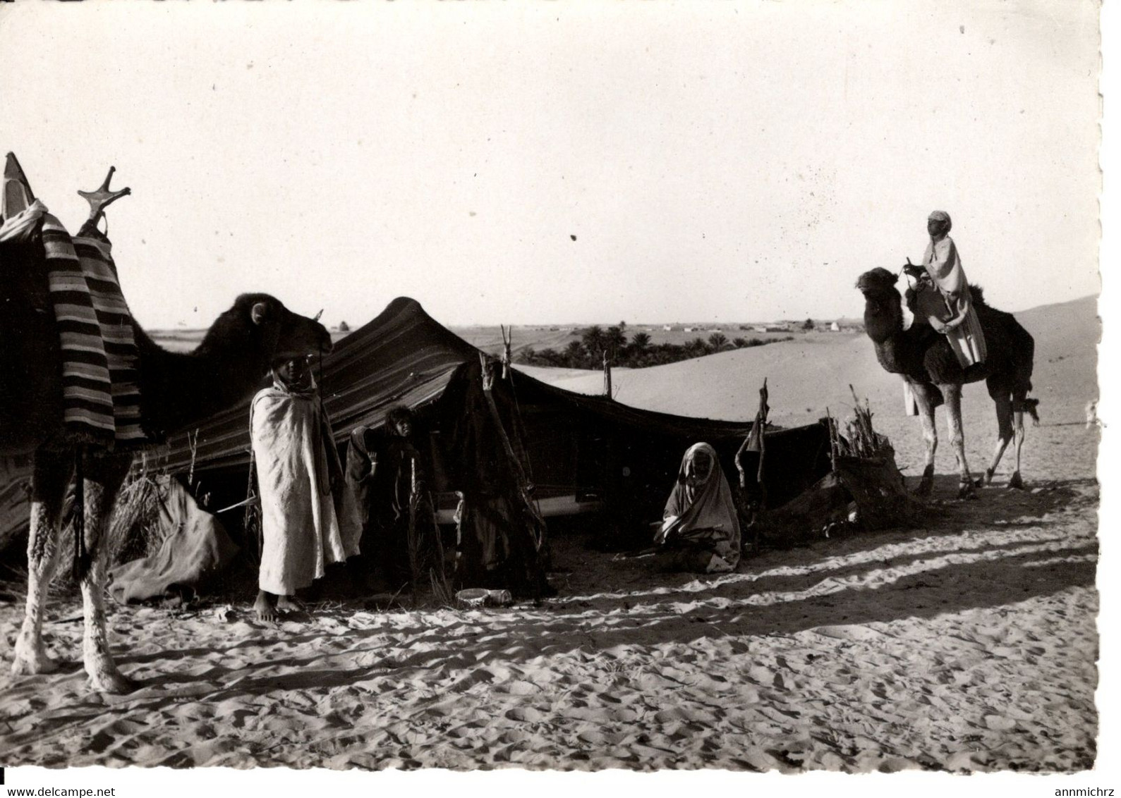 COLLECTION SAHARIENNE DEVANT LA HAIMOH OU TENTE NOMADE - Westsahara