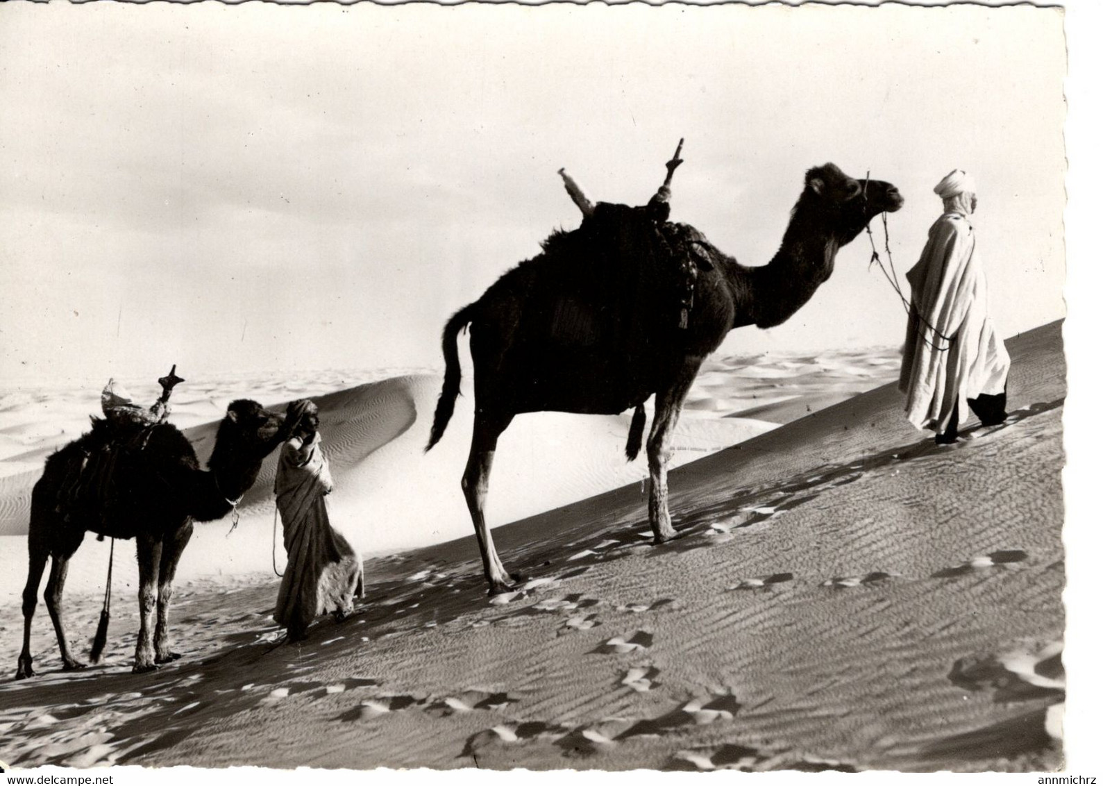 COLLECTION SAHARIENNE SUR LA PISTE DESERTIQUE - Westsahara