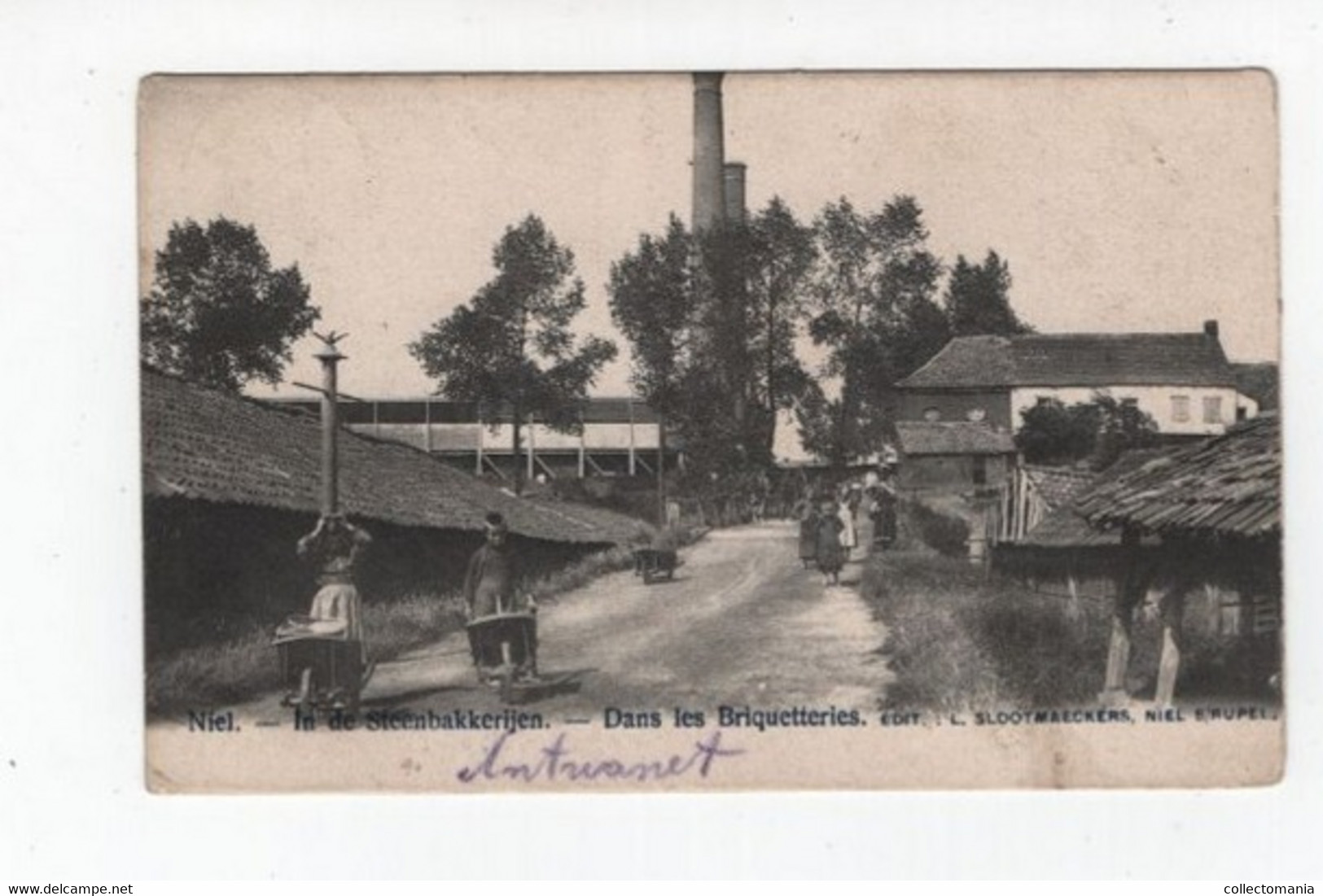 1 Oude Postkaart  NIEL  In De Steenbakkerijen  1904  Uitgever Slootmaeckers - Niel