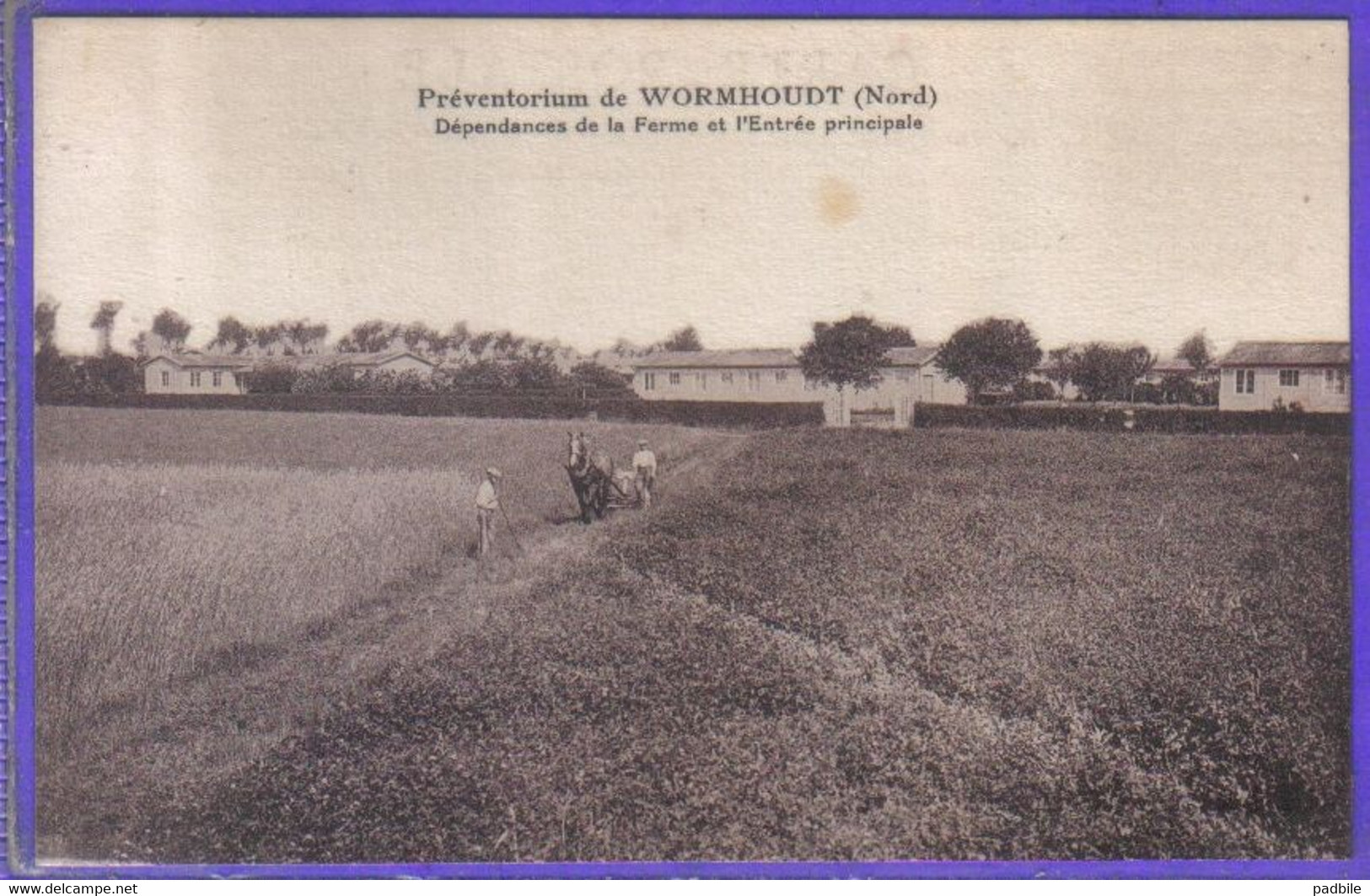 Carte Postale 59. Wormhoudt Dépendances De La Ferme Du Préventorium   Très Beau Plan - Wormhout