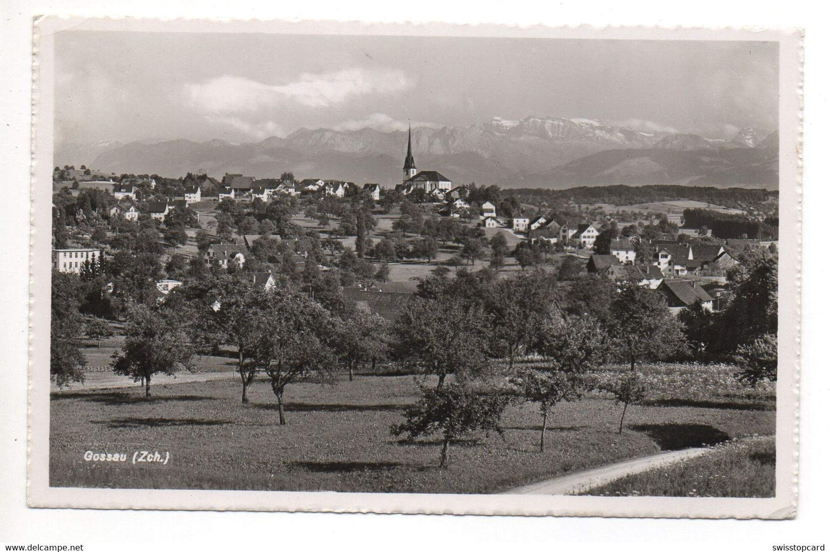 GOSSAU Phot. Honegger Rüti Gel. Feldpost N. Zürich Holzarbeiter-Sektion - Rüti