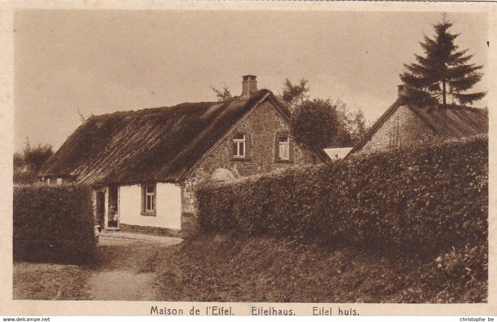 Elsenborn, Maison De L'Eifel, Eifelhaus (pk84808) - Elsenborn (camp)