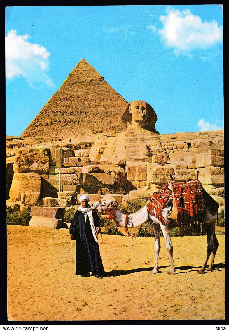 Egypt Giza - The Great Sphinx And Khephren Pyramid / Camel - Sphynx