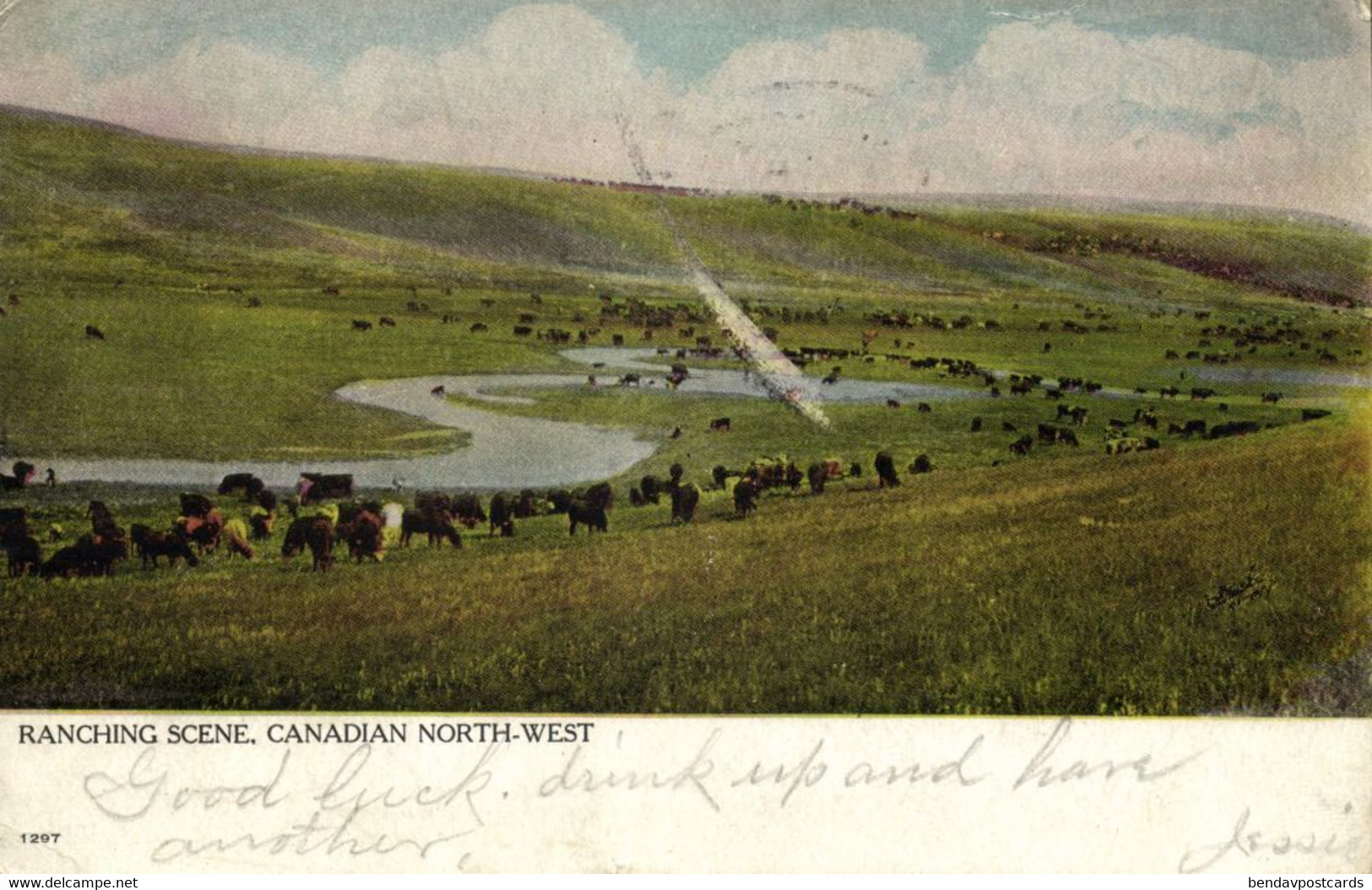 Canada, Ranching Scene, Canadian North-West (1906) Postcard - Other & Unclassified