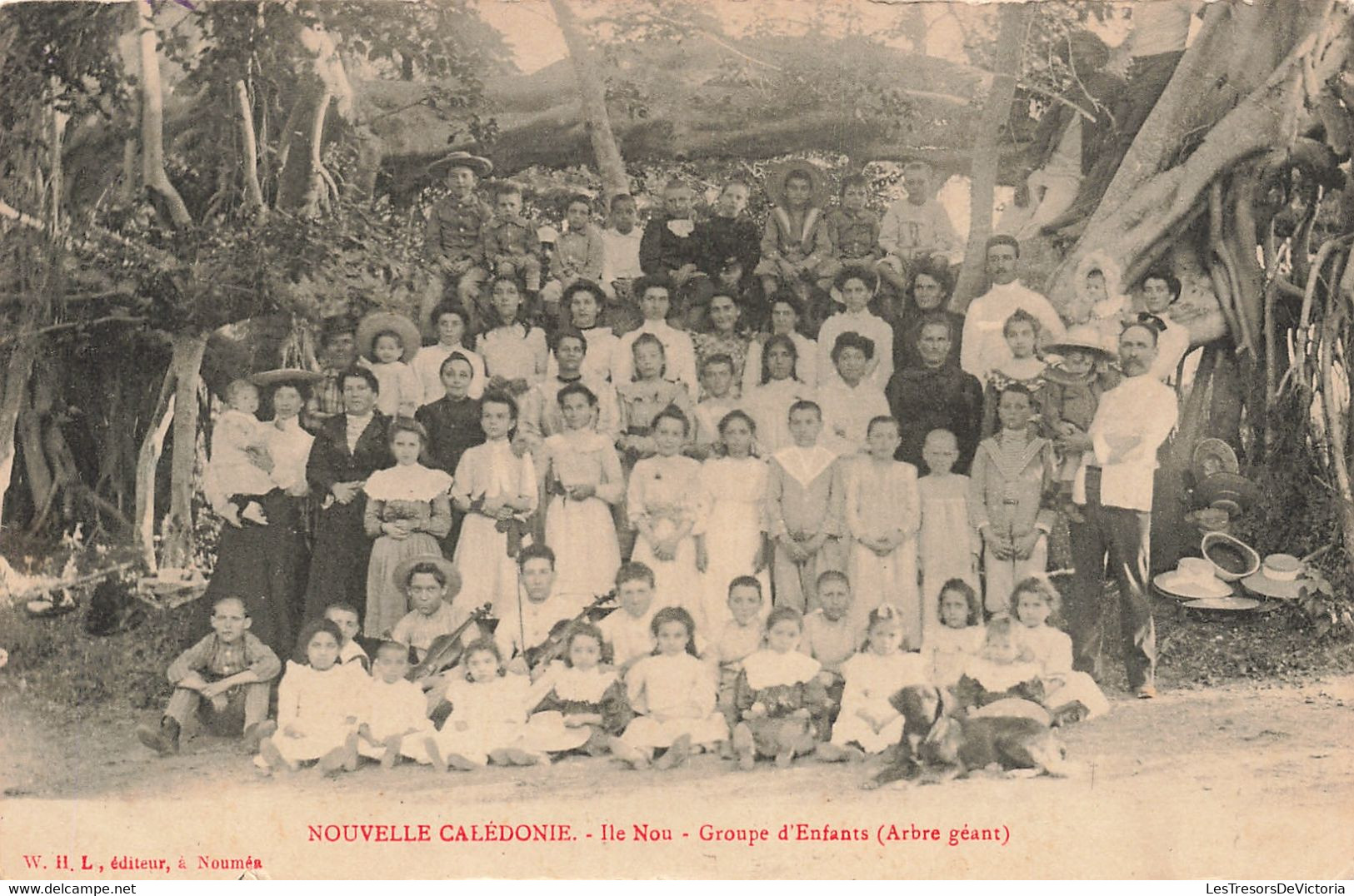 CPA - Nouvelle Calédonie - Ile Nou - Groupe D'Enfants  - Arbre Géant - Edit. W.H.L. - Précurseur - Enfant - - New Caledonia