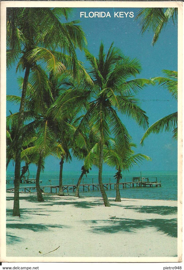 Florida Keys (USA) Palm Fringed Beaches For Swimmwers & Seaside Visitors, Spiagge Costeggiate Da Palme X Bagnanti - Key West & The Keys