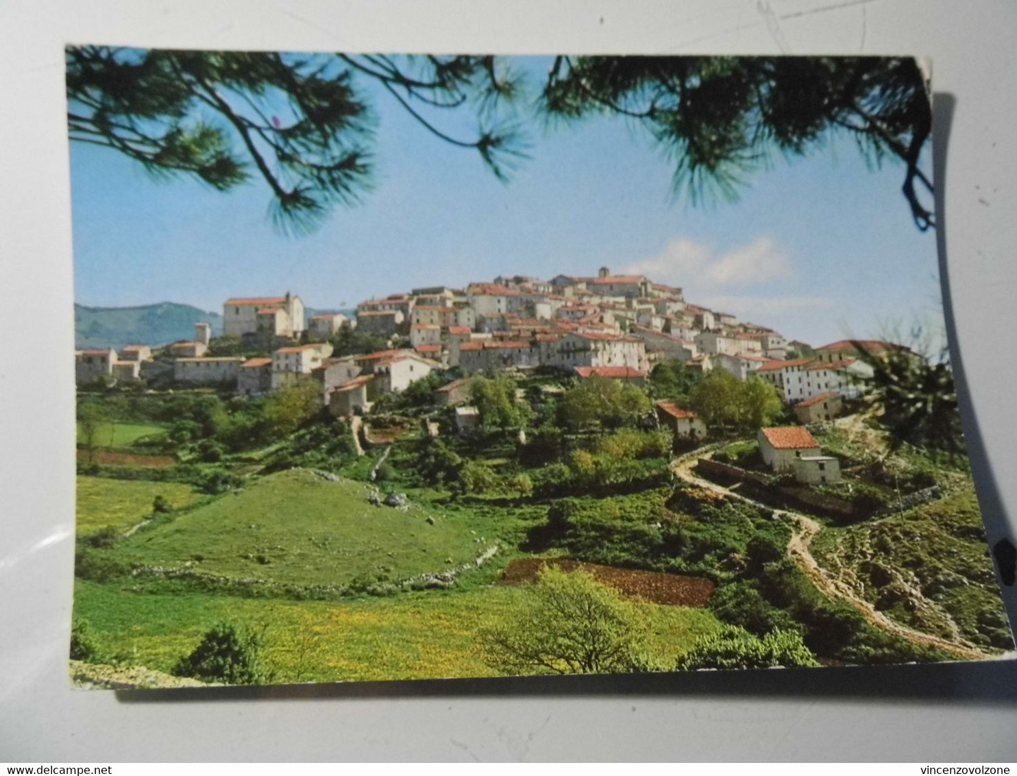 Cartolina Viaggiata "VASTOGIRARDI ( IS ) Panorama" 1979 - Isernia